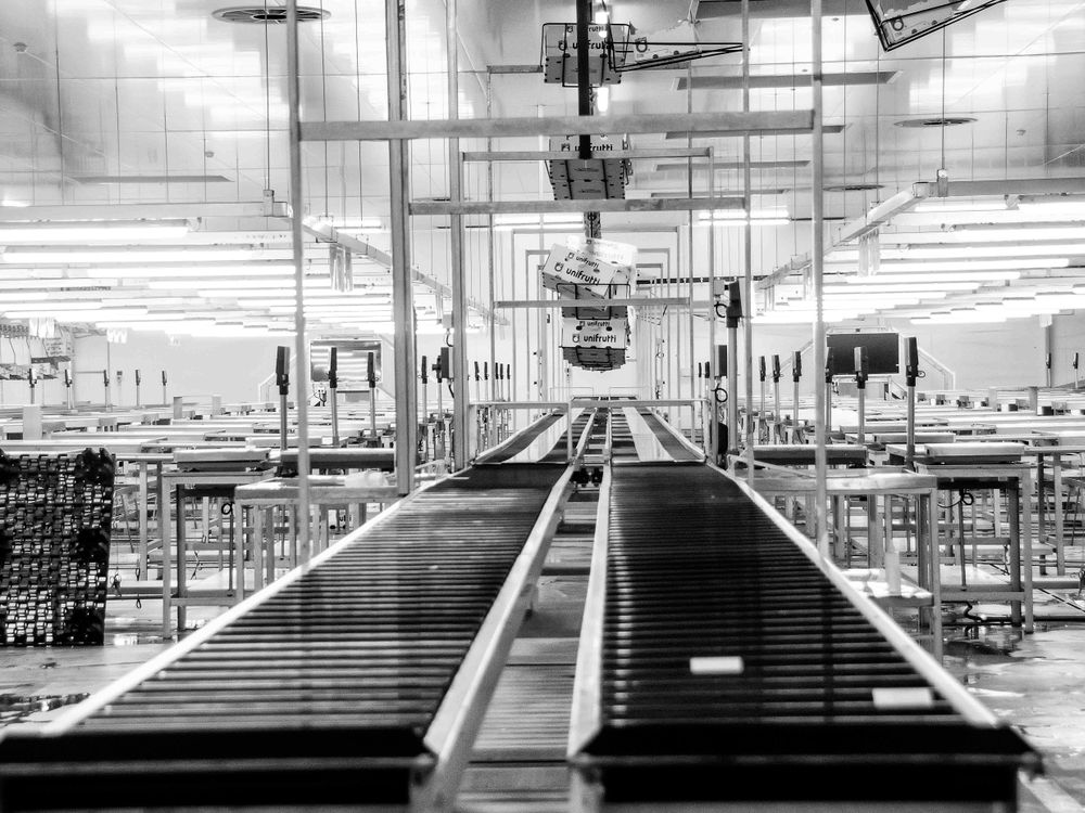 Washing and sorting line